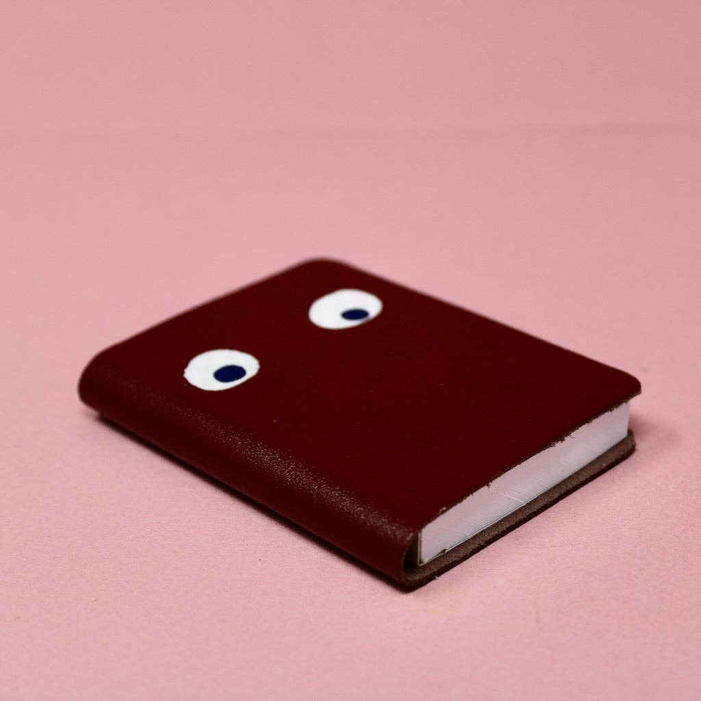 Googly Eye Mini Journal (Asstd.)