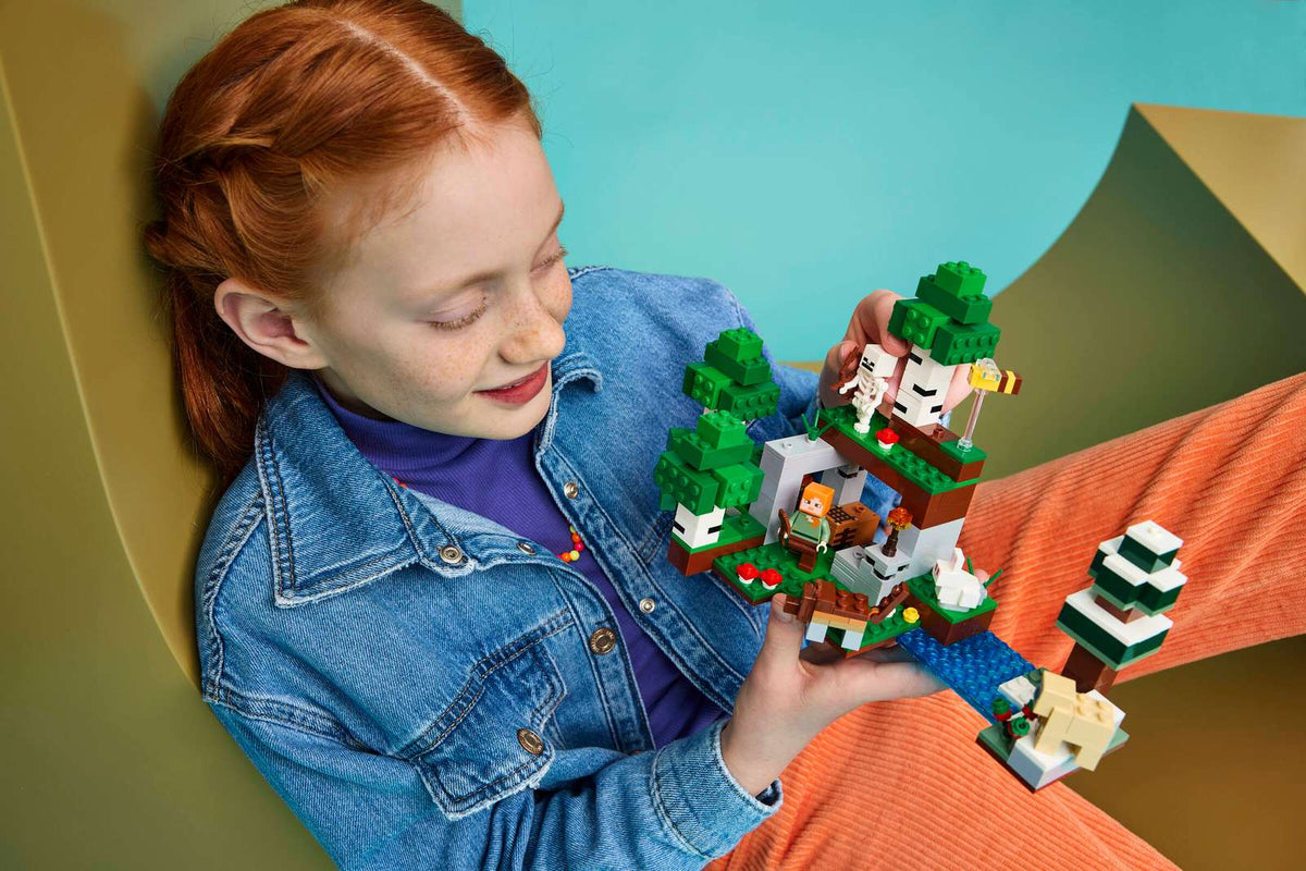 LEGO Minecraft First Night Adventure