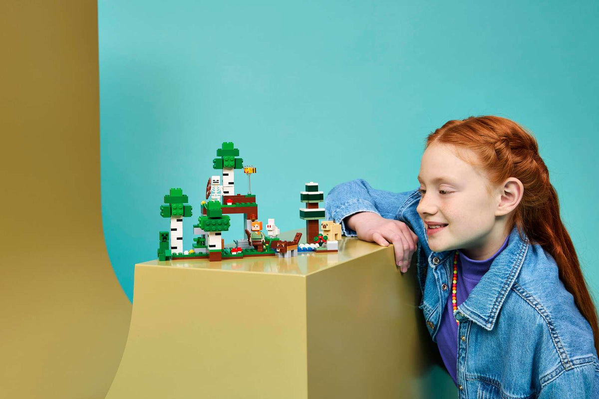 LEGO Minecraft First Night Adventure