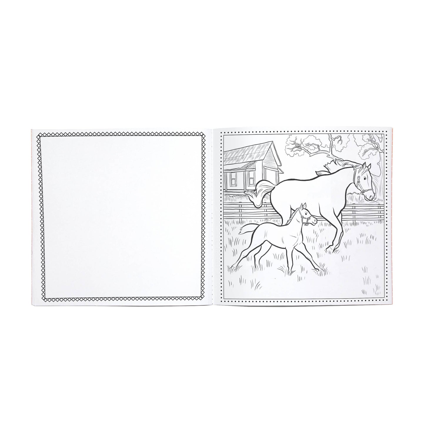Little Farm Square Coloring Book