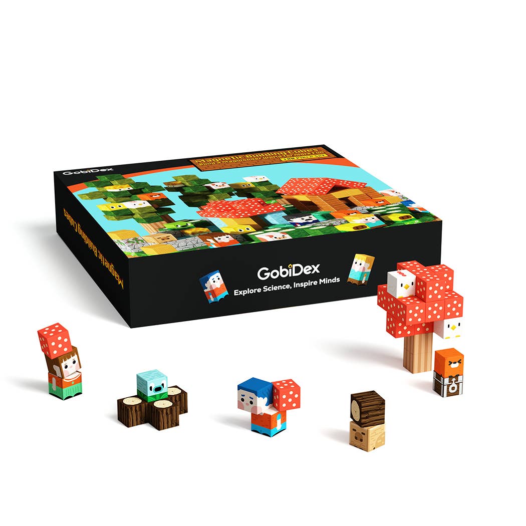 Hilltop Hamlet Magnetic Blocks - 100 Piece Set