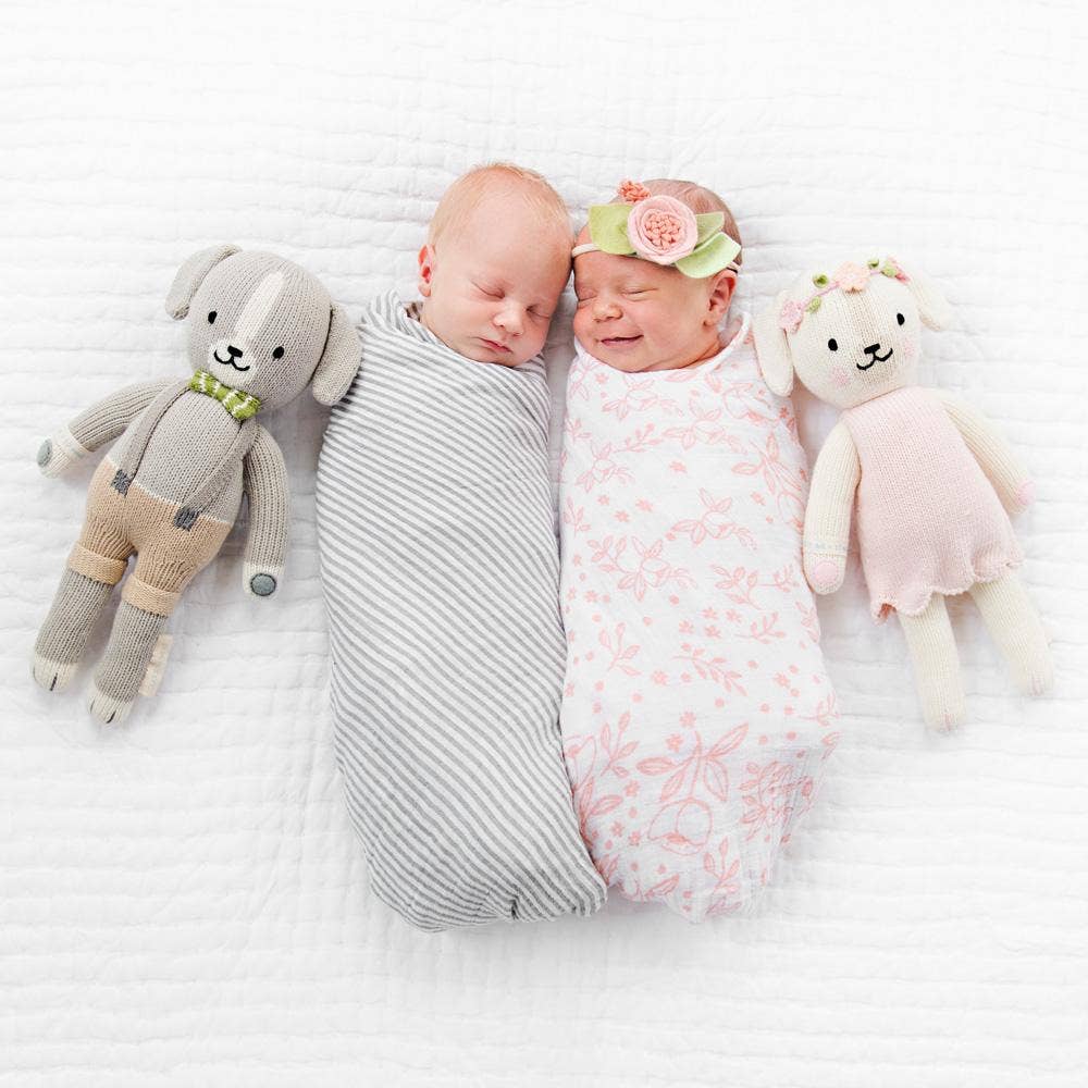 Noah the Dog by cuddle + kind