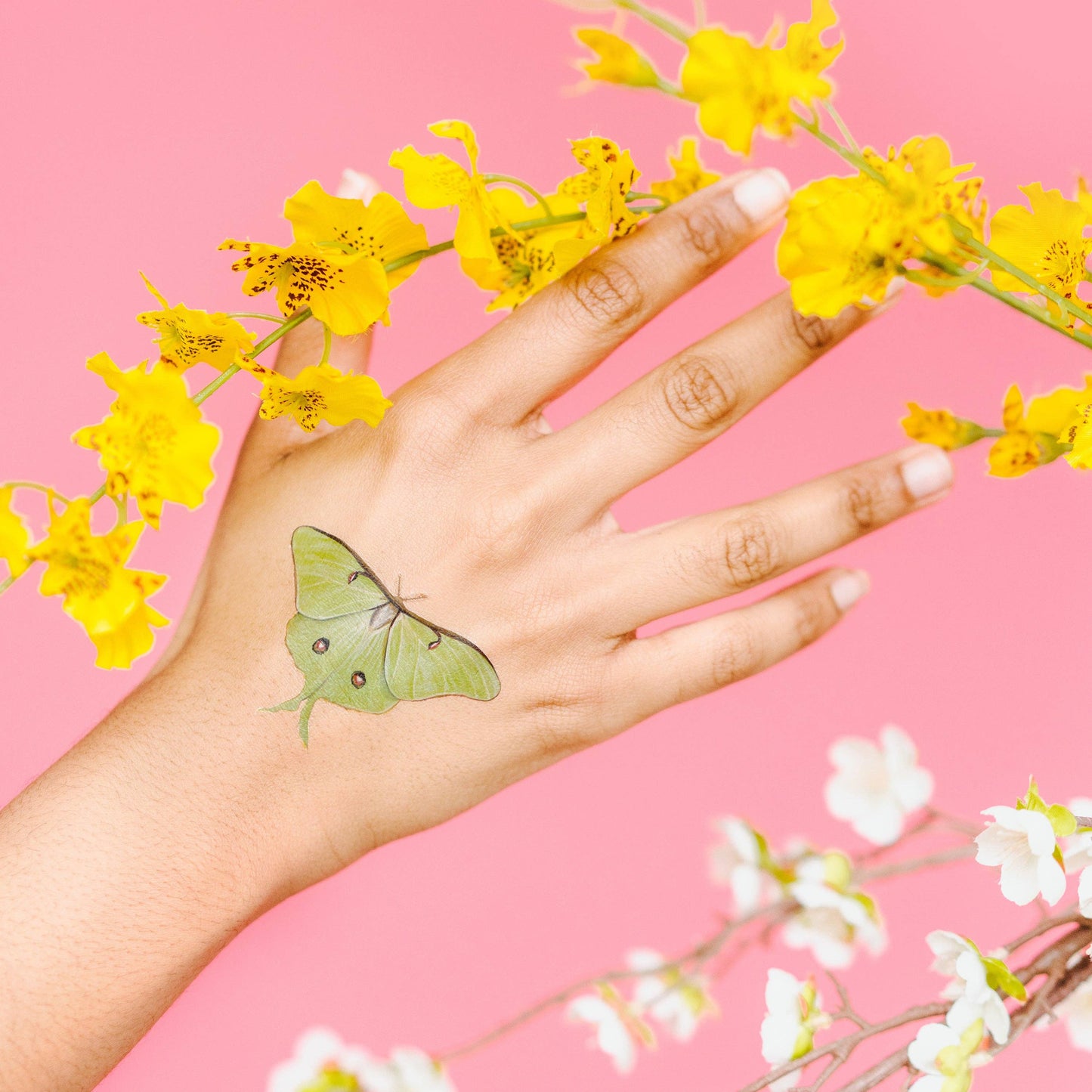 Tiny Butterfly Tattoo Tin - Tattly