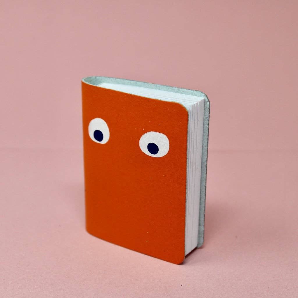 Googly Eye Mini Journal (Asstd.)