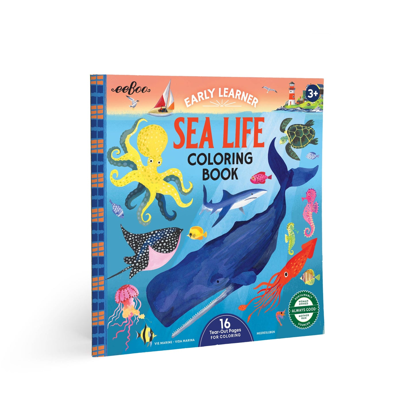 Sea Life Square Coloring Book