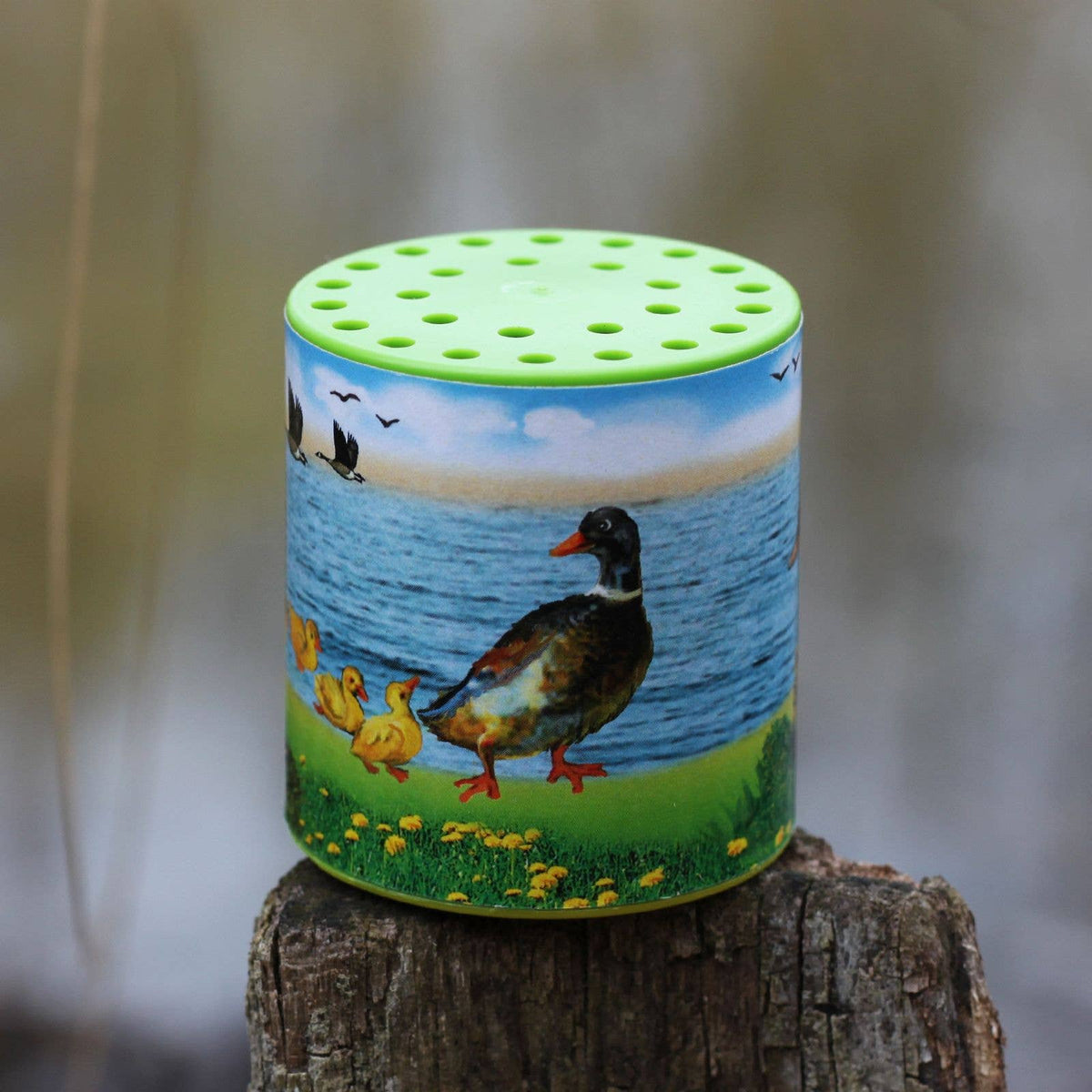 Duck Animal Sound Box