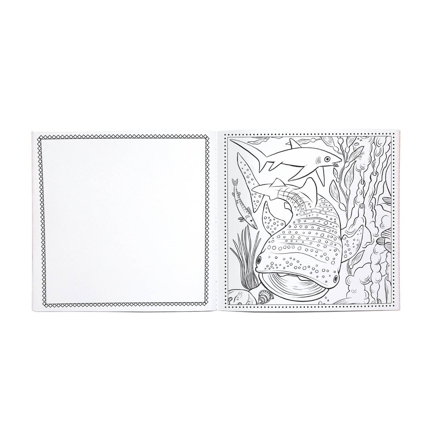 Sea Life Square Coloring Book