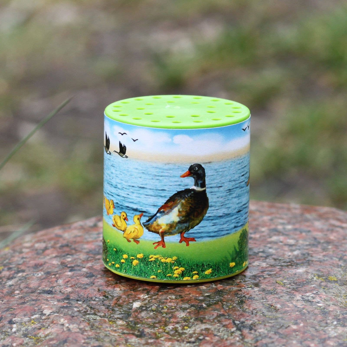 Duck Animal Sound Box
