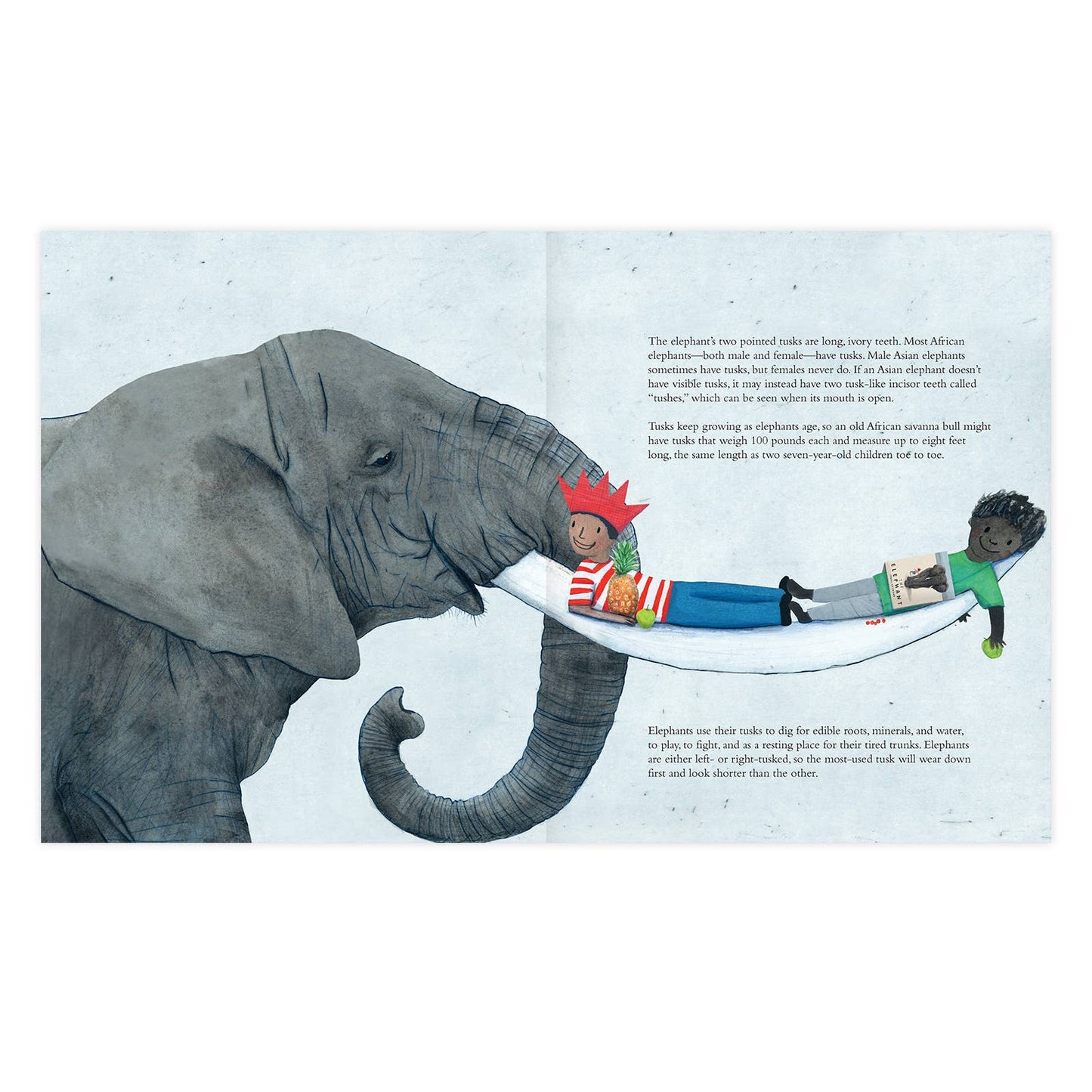 The Elephant