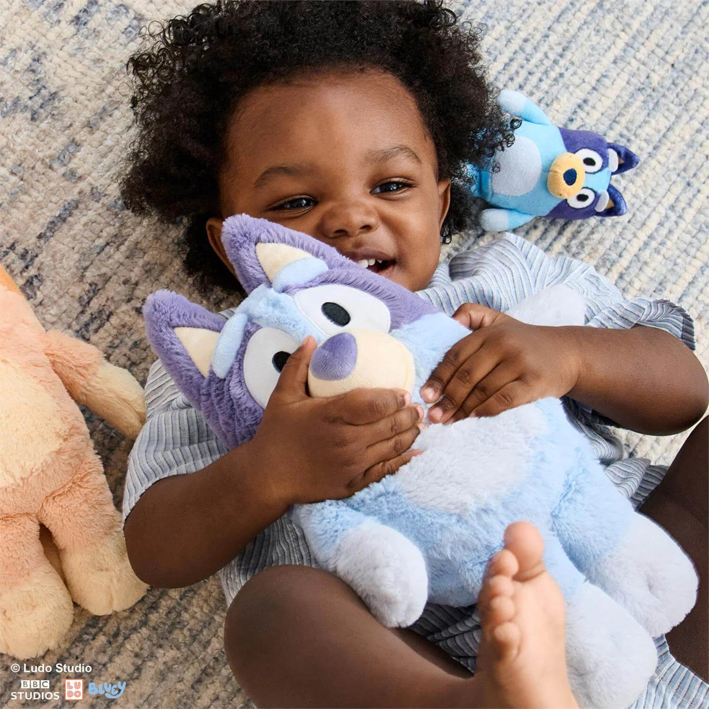 Bluey Plush Toy