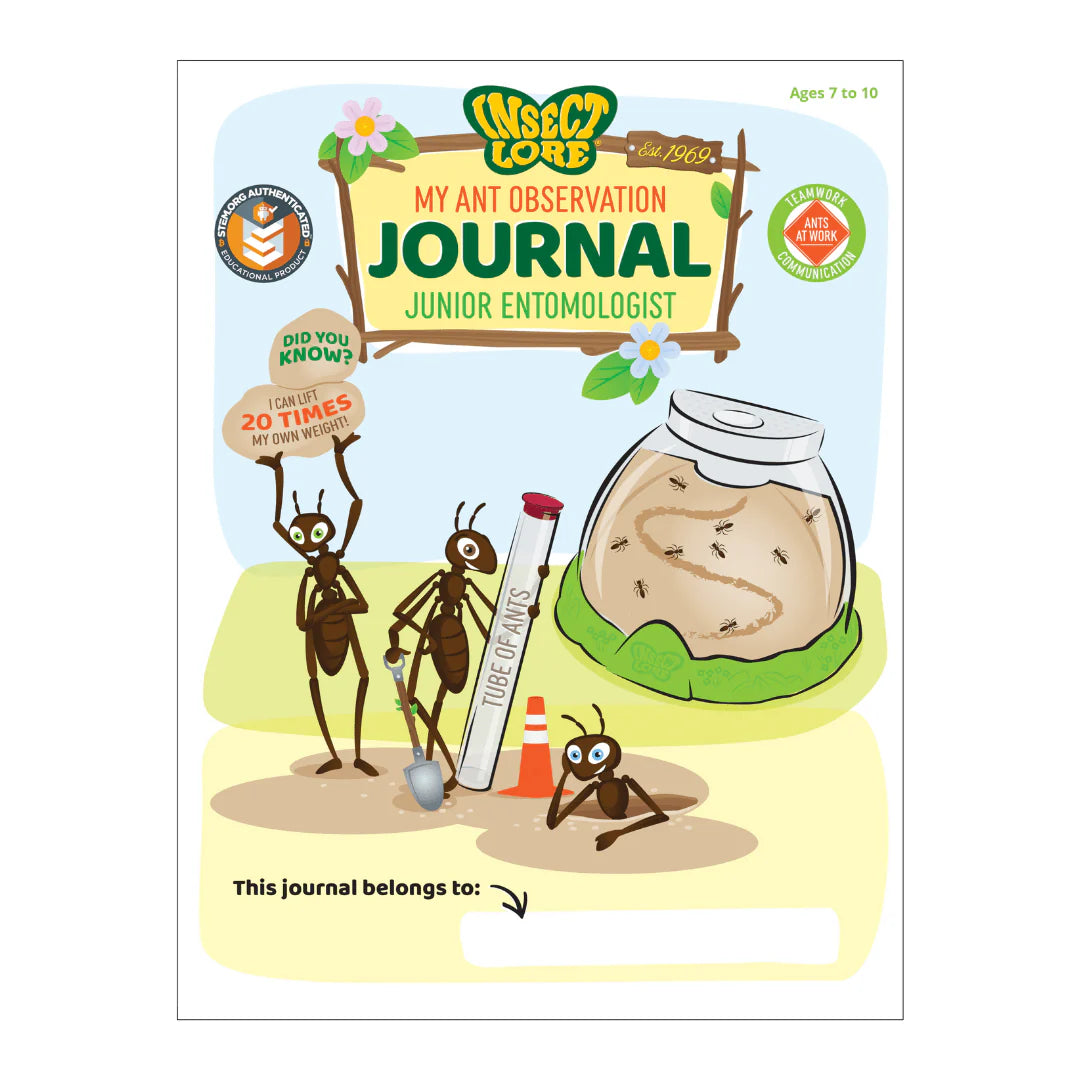 Ant Hill with Prepaid Voucher for Live Ants