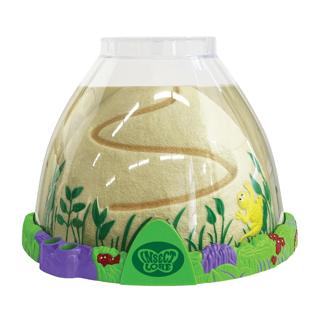Ant Hill with Prepaid Voucher for Live Ants