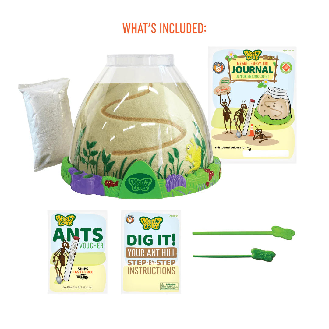 Ant Hill with Prepaid Voucher for Live Ants