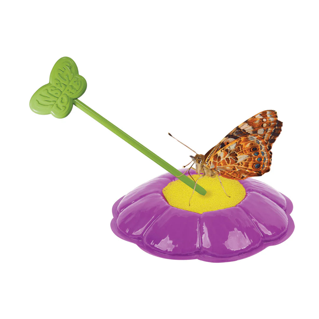 Butterfly Garden With Prepaid Voucher