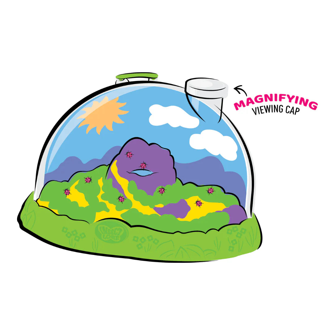 Ladybug Land With Prepaid Voucher