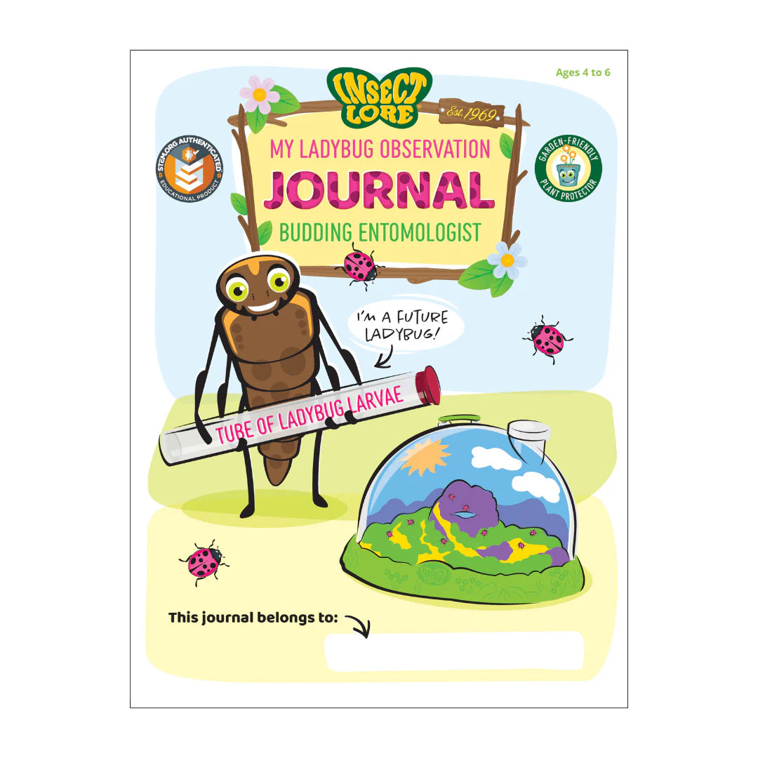 Ladybug Land With Prepaid Voucher