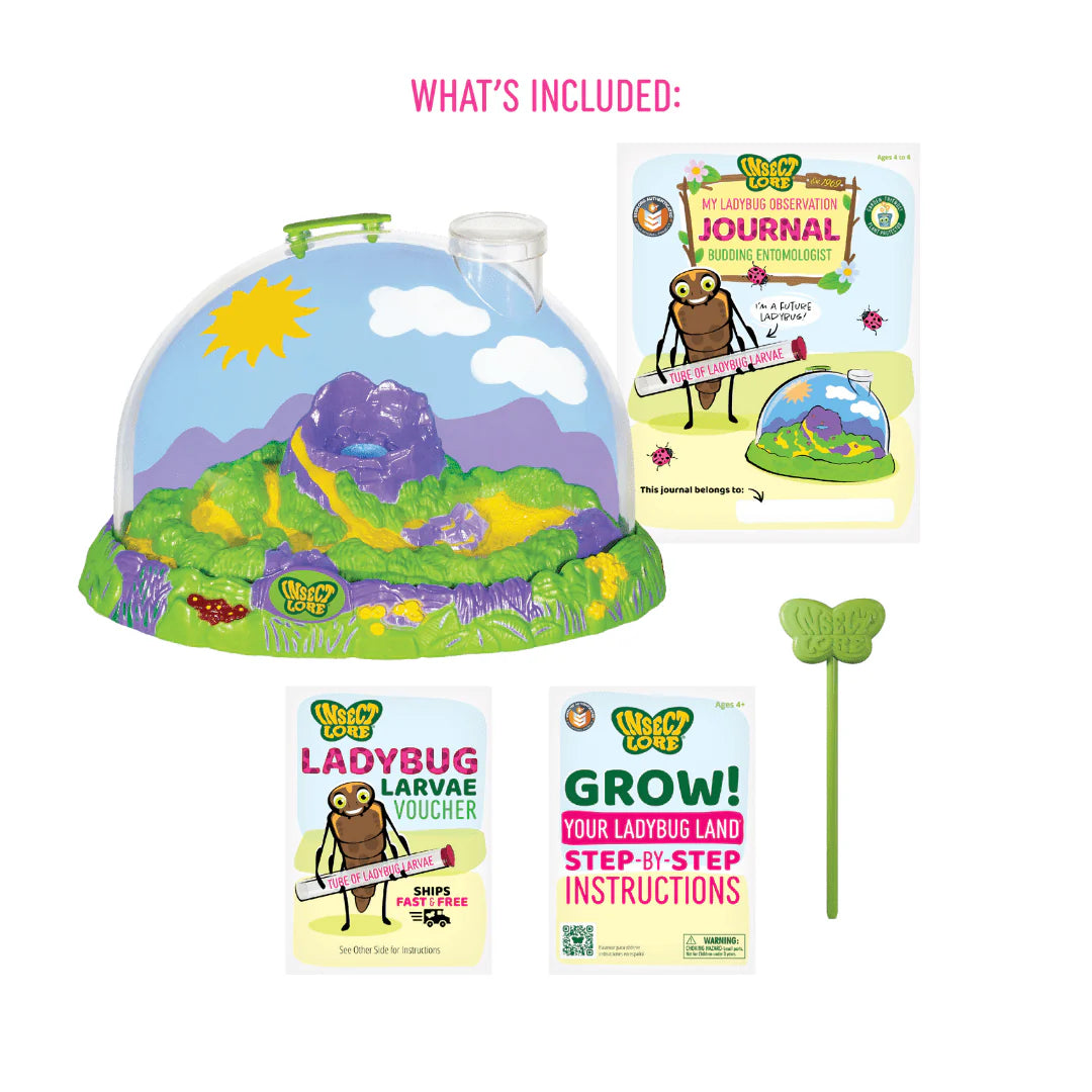 Ladybug Land With Prepaid Voucher