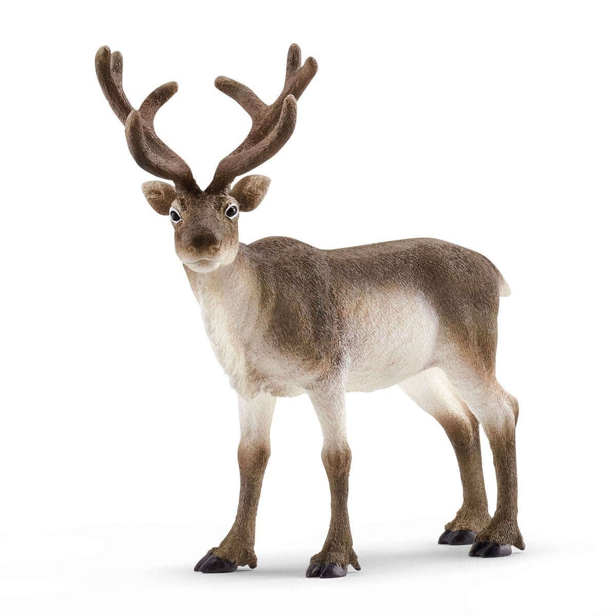 Schleich - Reindeer Arctic Animal Toy