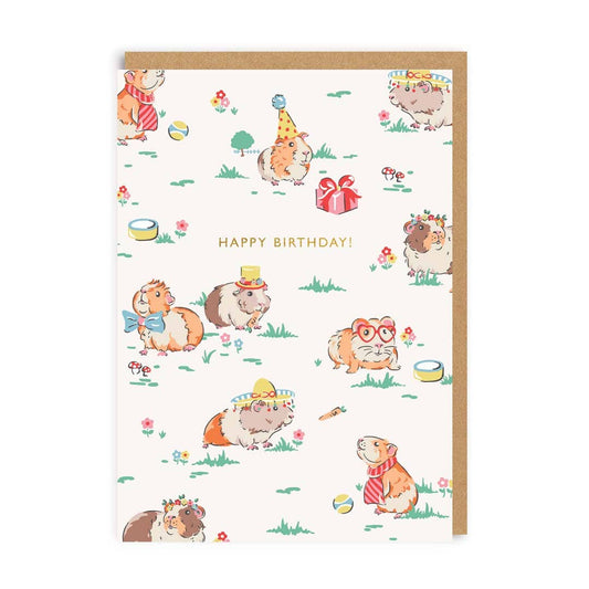 Guinea Pig Happy Birthday Greeting Card