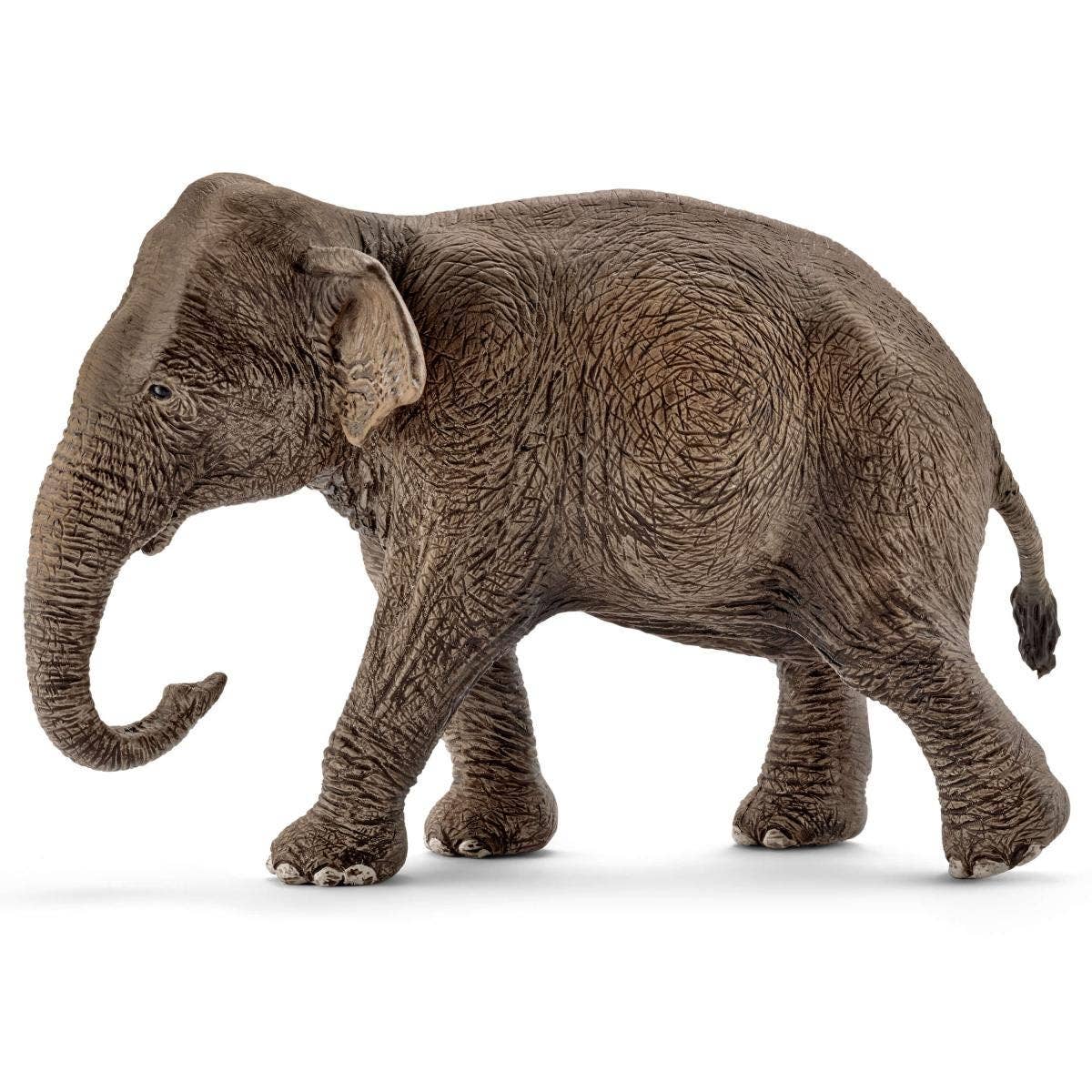 Schleich - Asian Elephant Toy