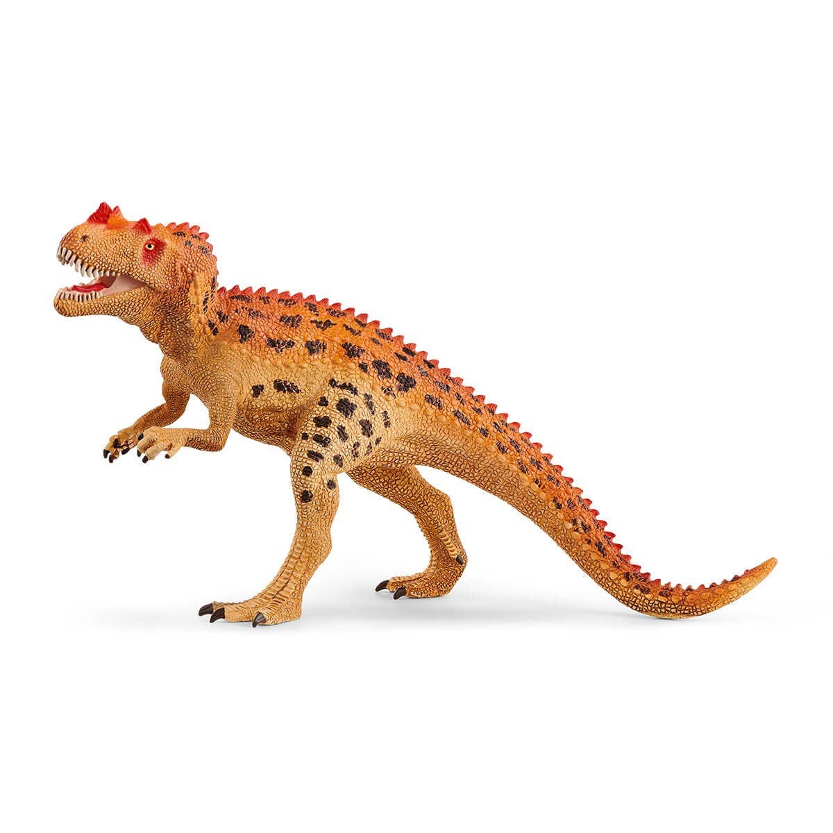 Ceratosaurus  Dinosaur Toy