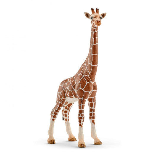 Schleich - Giraffe Toy