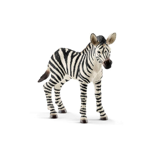 Zebra Foal Toy - Schleich